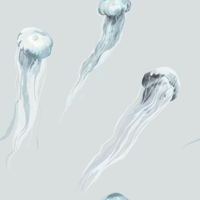 Muster