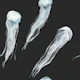 Deep Sea Jellyfish Pattern