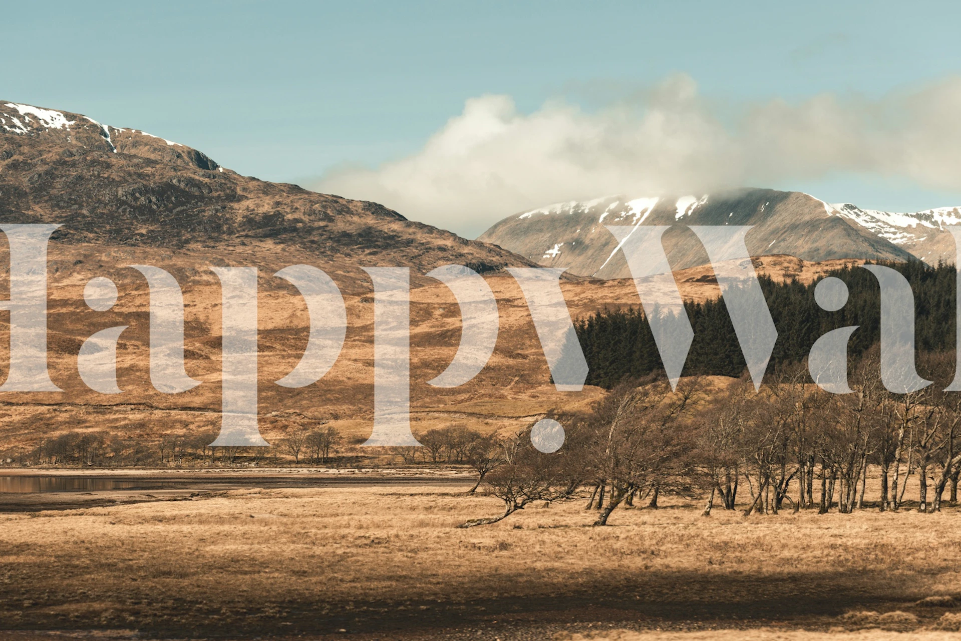 Serene highland scene wallpaper in a room