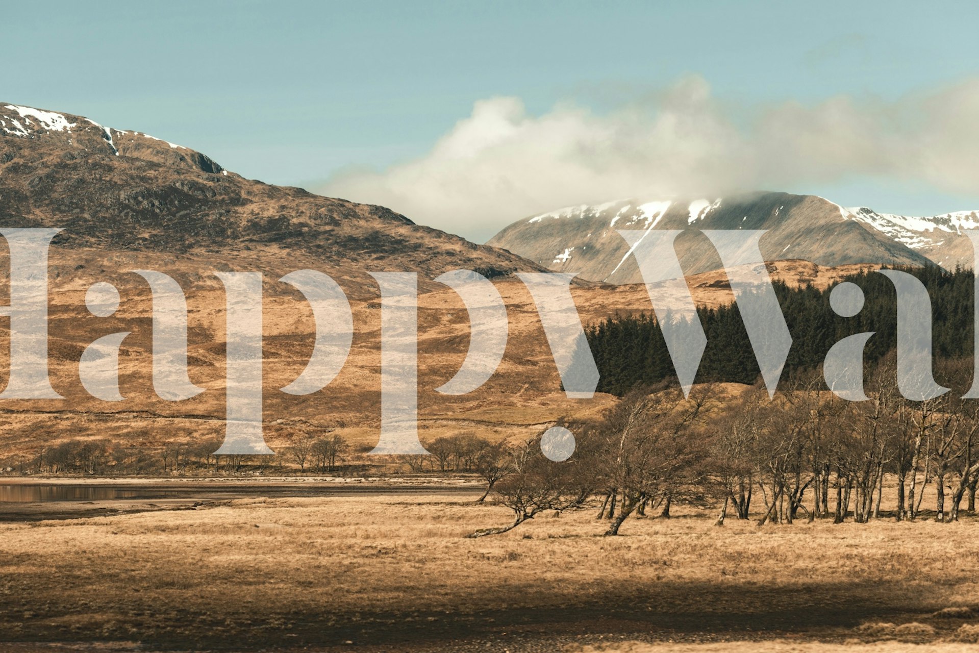 Serene highland scene wallpaper in a room