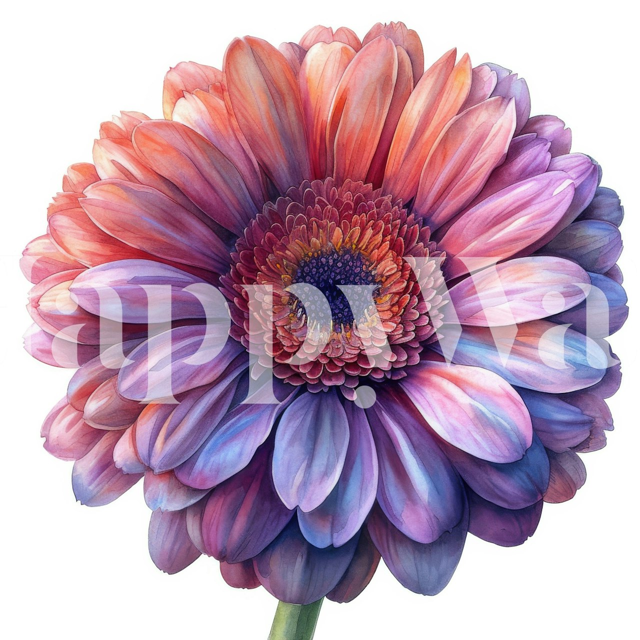 Gerbera Glow wallpaper displayed in a room