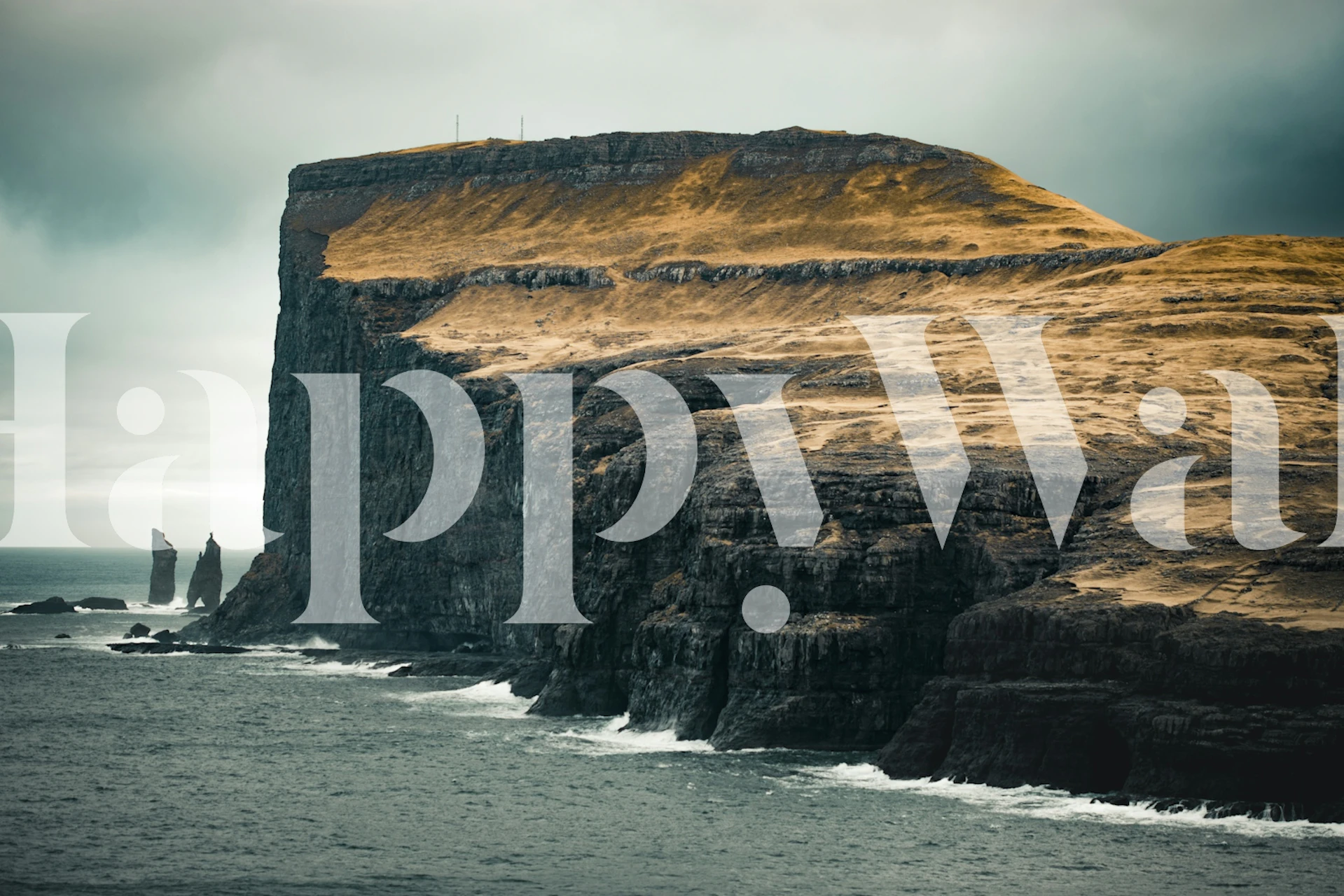 Coastal Horizon View wallpaper in a room