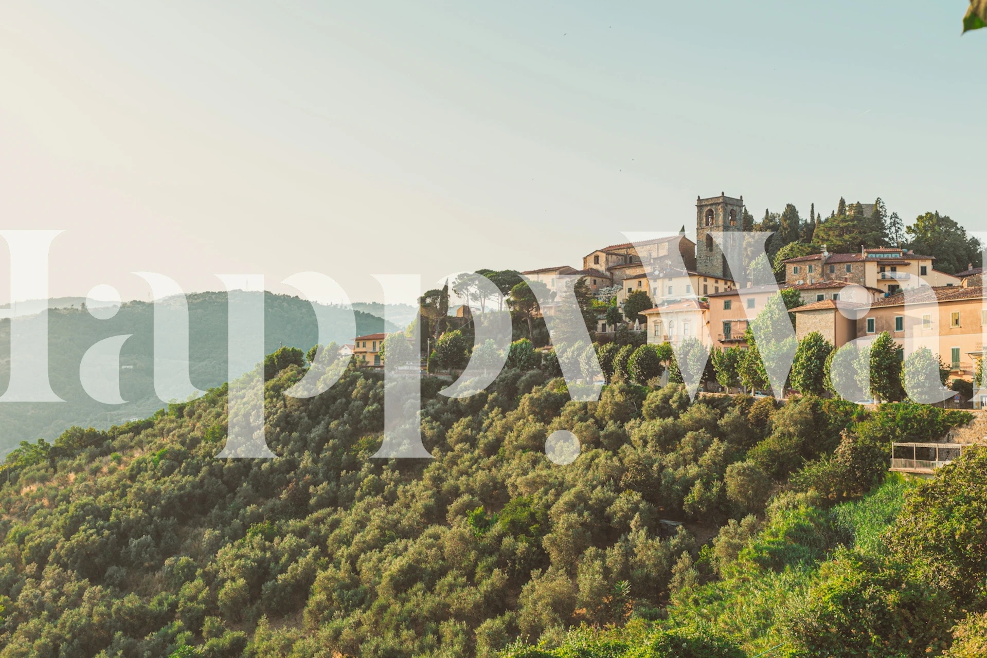 Sunlit Tuscan Escape wallpaper in a room
