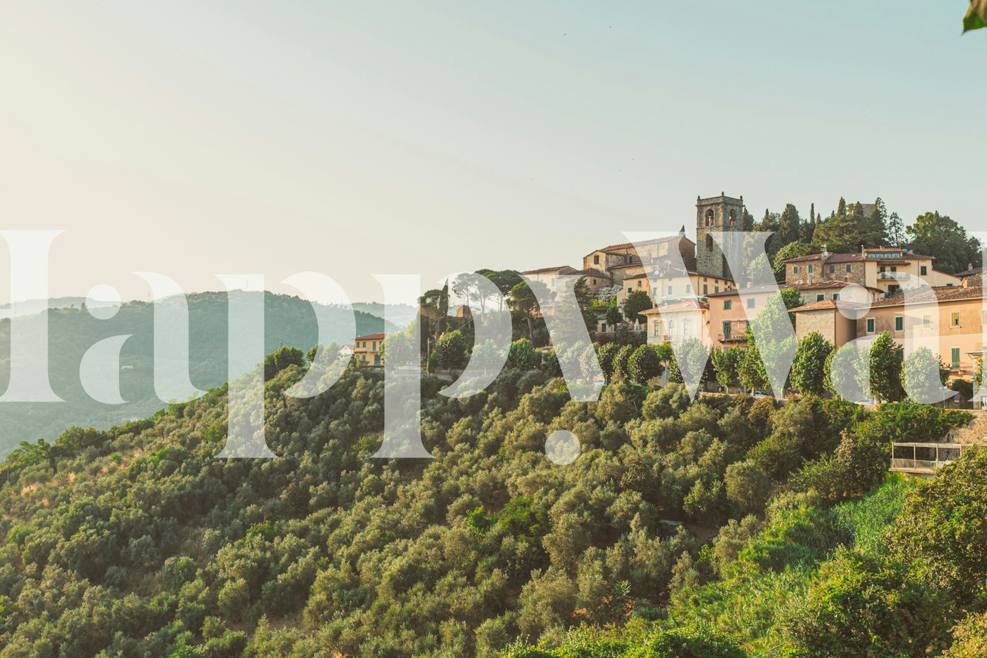 Sunlit Tuscan Escape wallpaper in a room