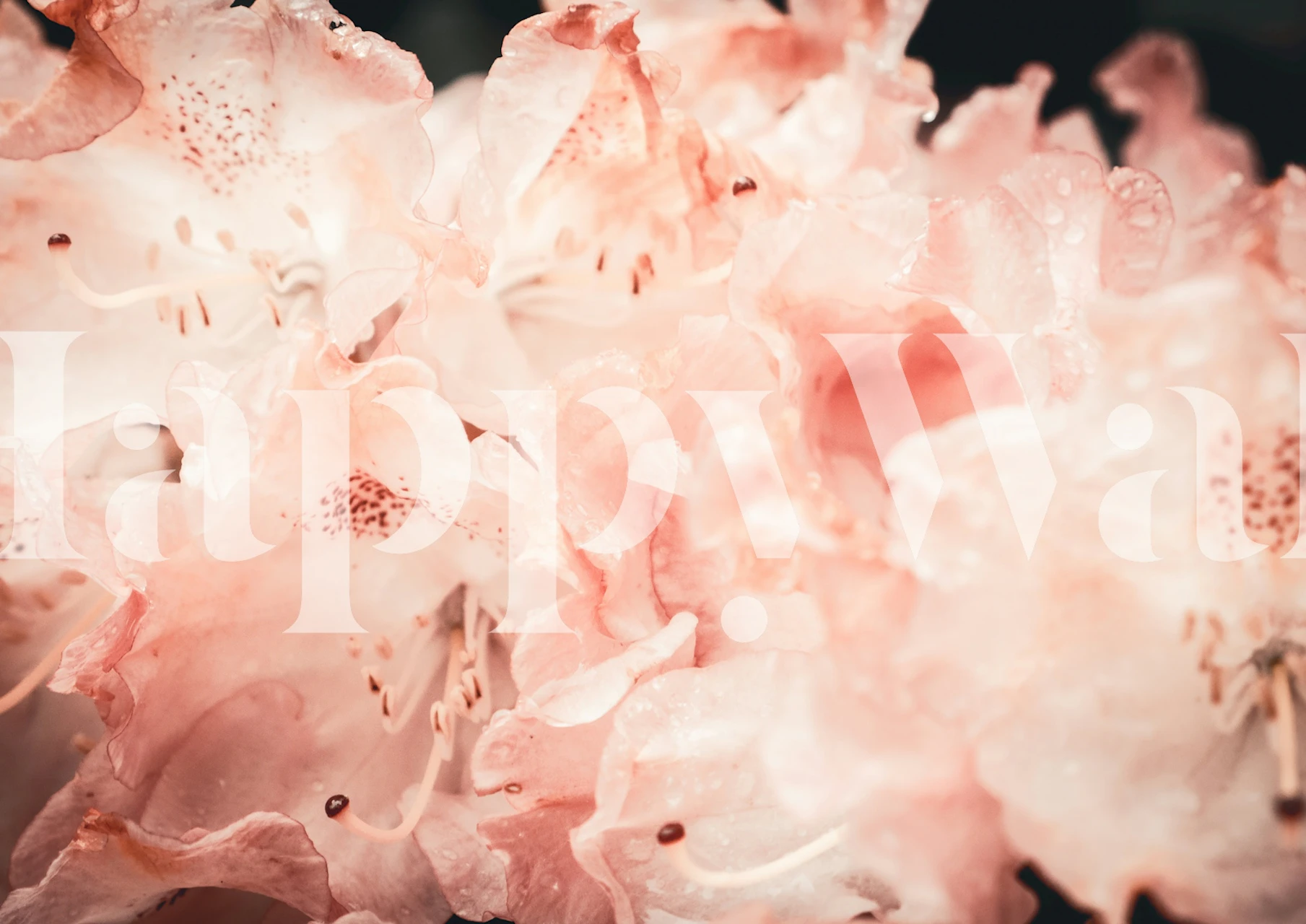 Delicate floral wallpaper design in a room