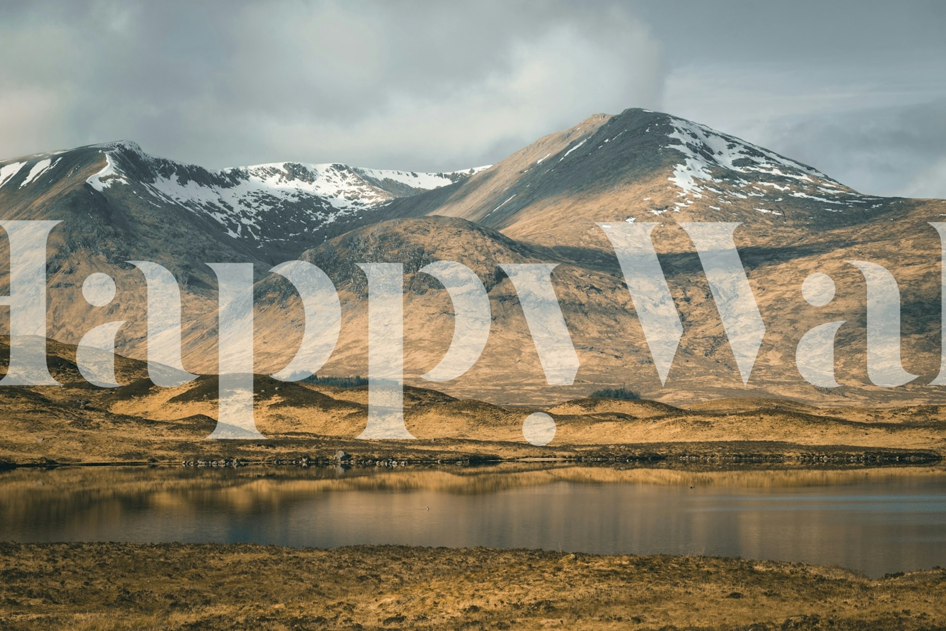 Snow-kissed Scottish wilderness wallpaper in a room
