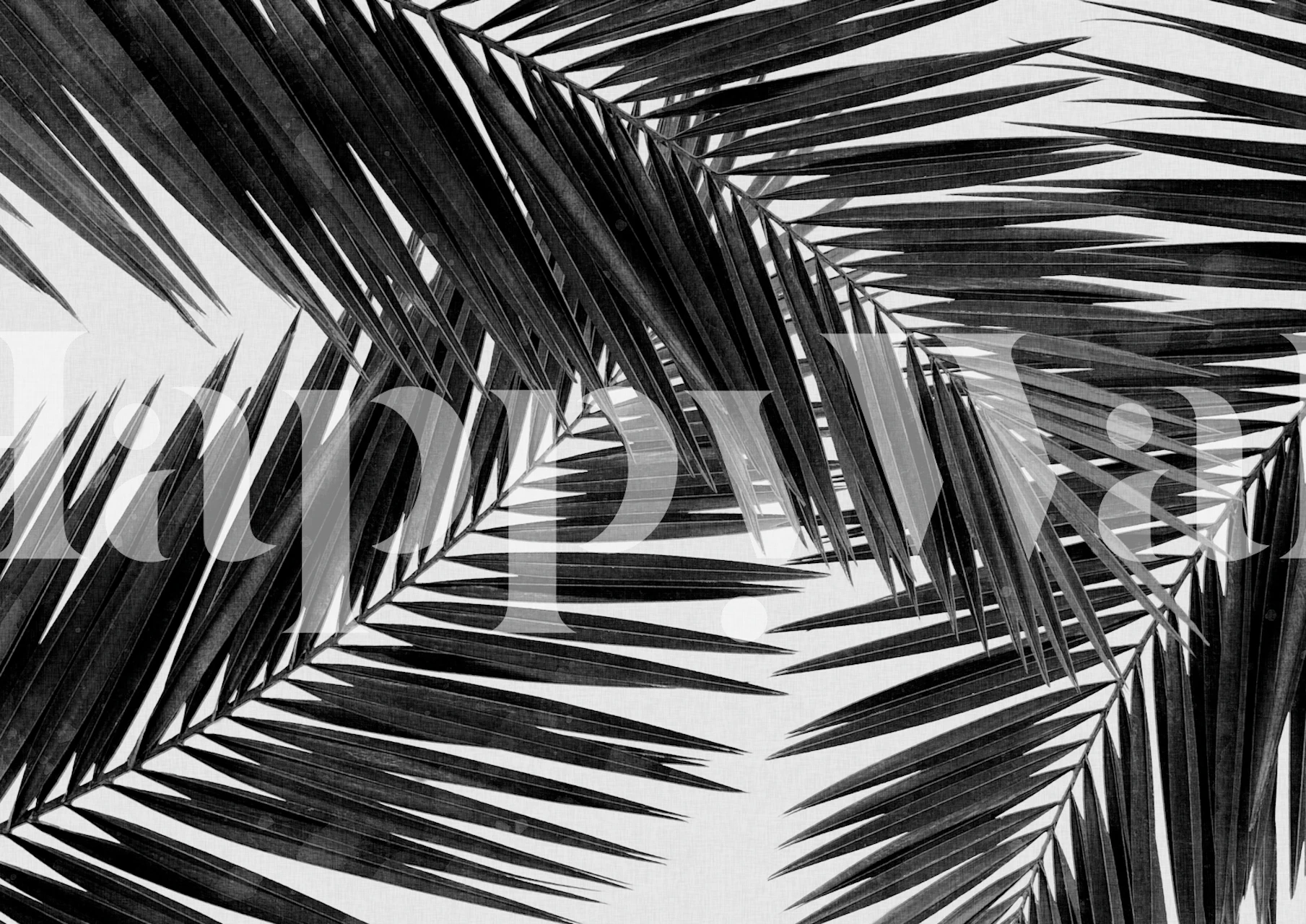 Palm Leaf Black & White tapetti huoneessa