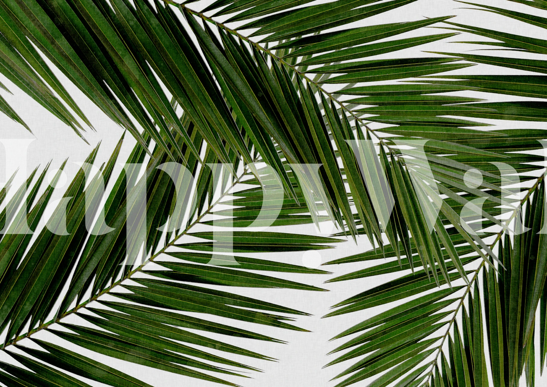 Tropical palm leaves in vibrant green colors wallpaper