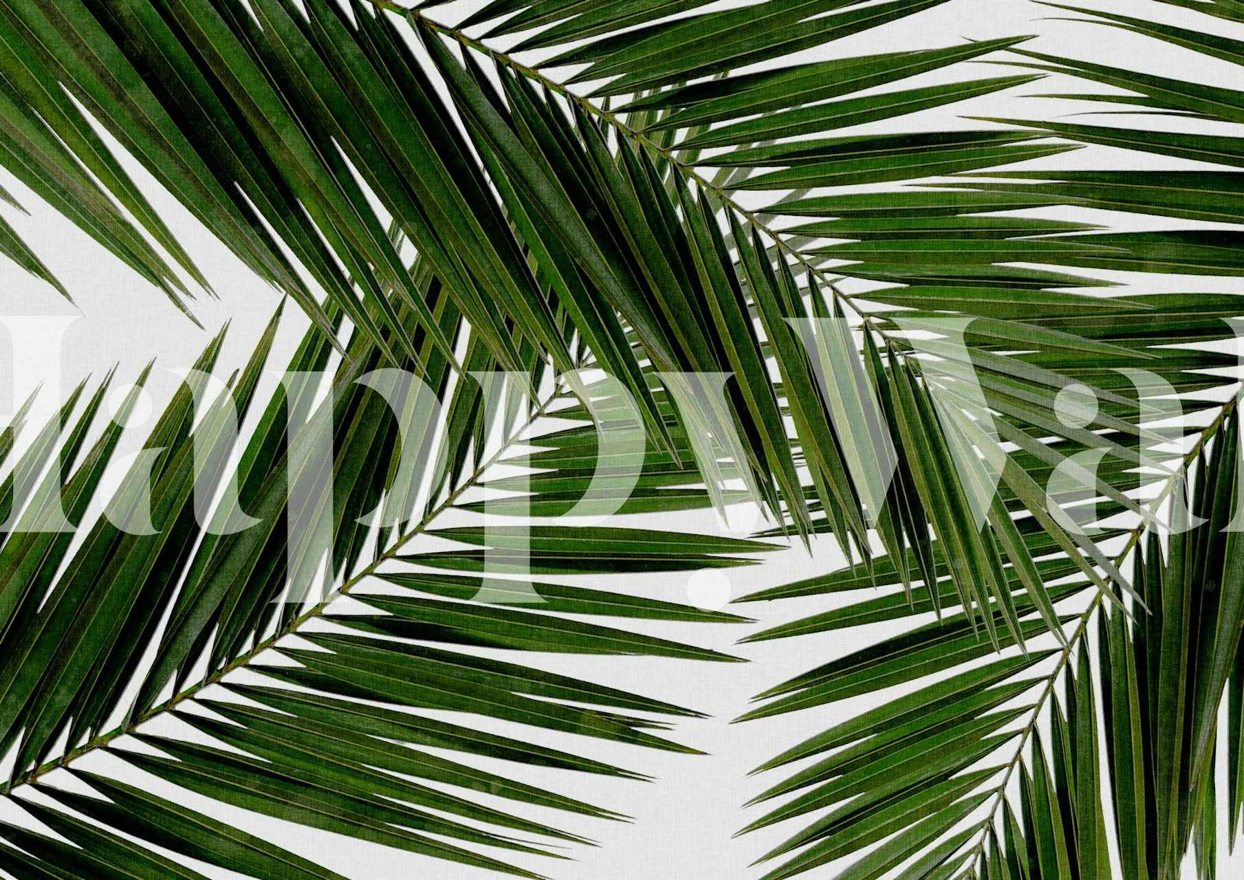 Tropical palm leaves in vibrant green colors wallpaper