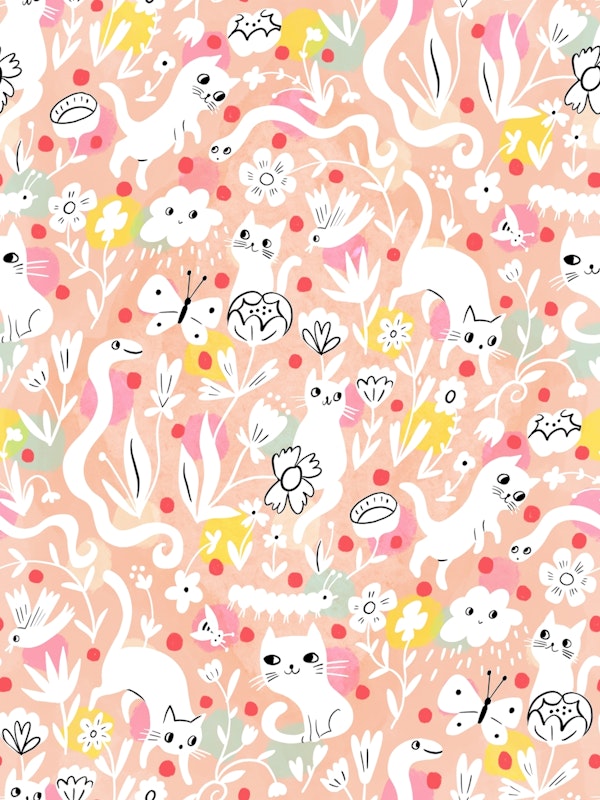 playful cats and creatures