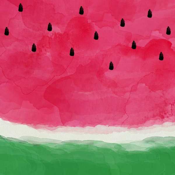 Watermelon Abstract