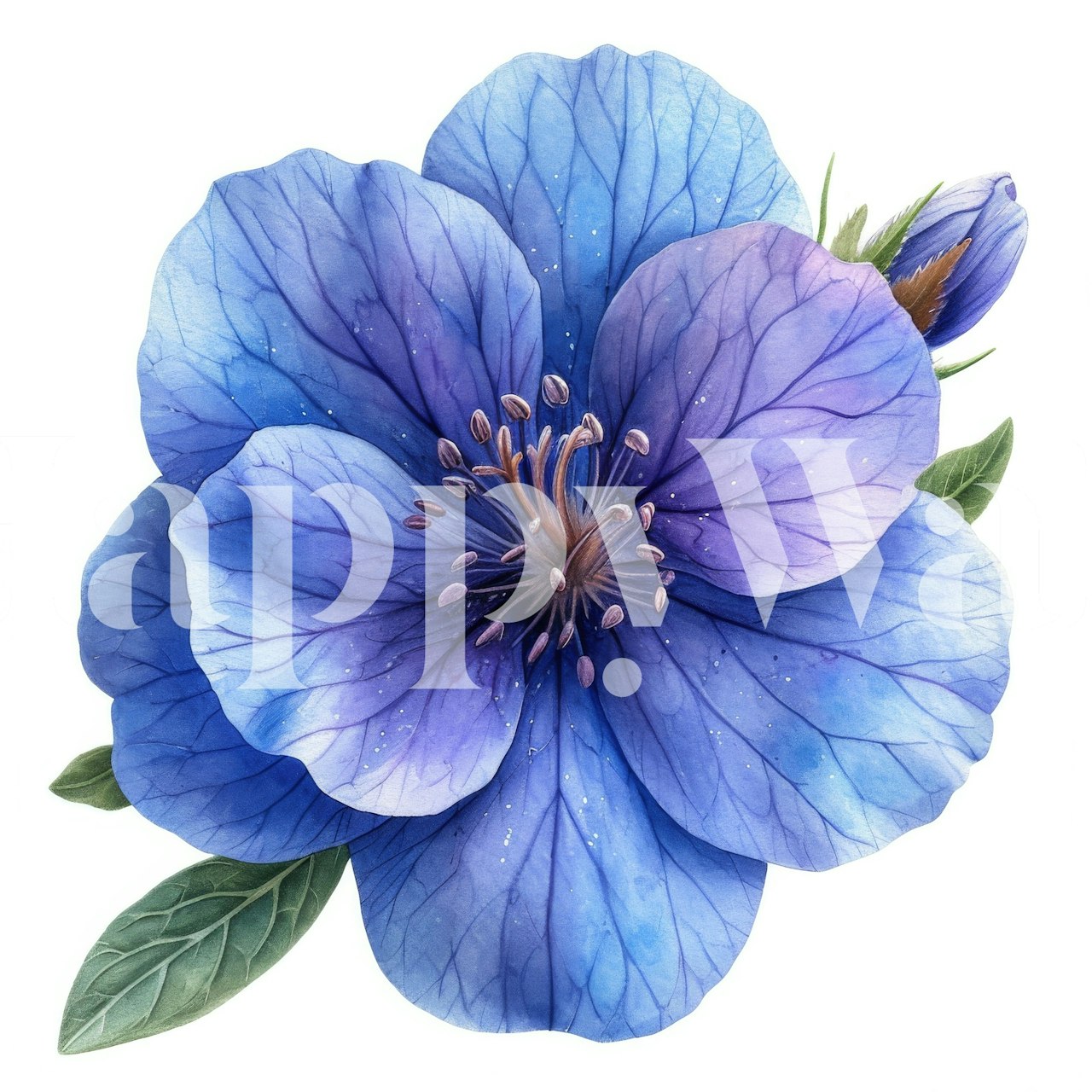 Colorful floral wallpaper in a room setting