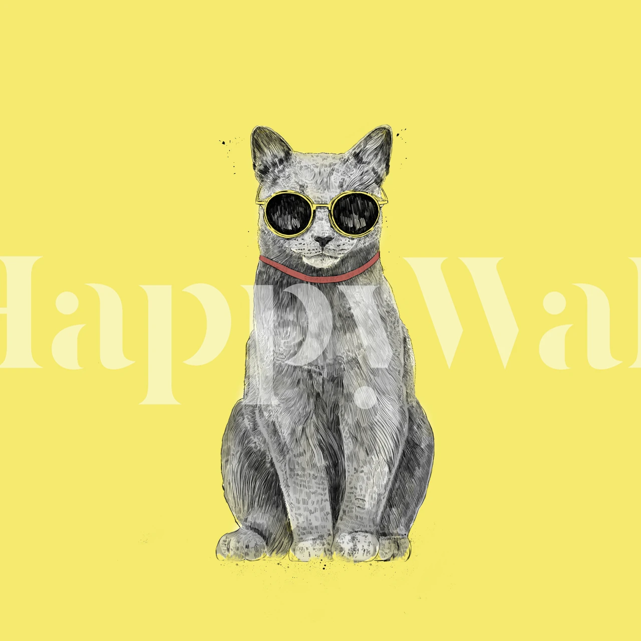Gray cat wearing sunglasses on yellow background wallpaper
