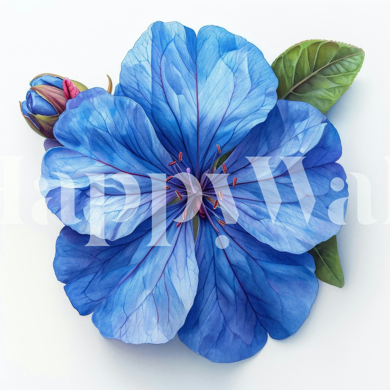 Plumbago Bloom wallpaper displayed in a room