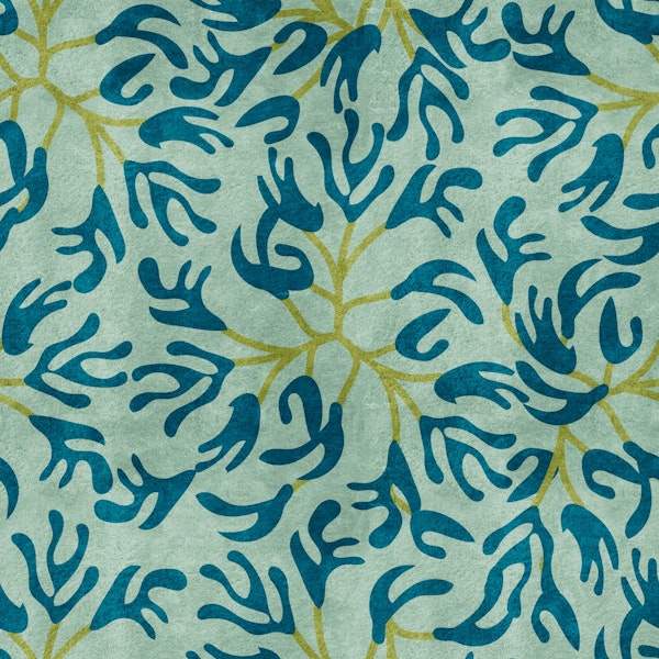 Kelp Seaweed Coastal Dance