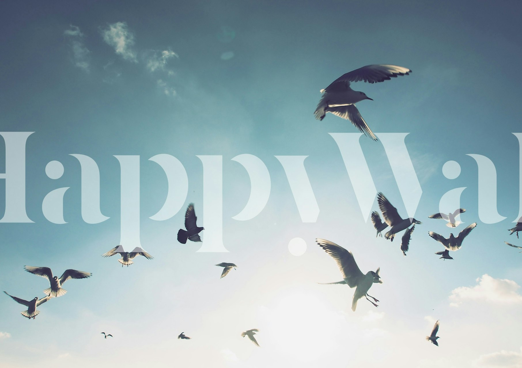 Seagulls flying in a bright blue sky wallpaper