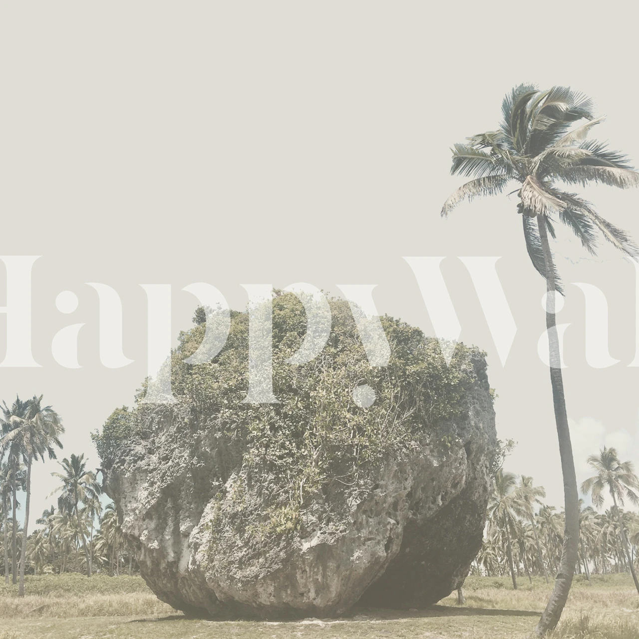 Tsunami Rock Tonga papel de parede em um quarto