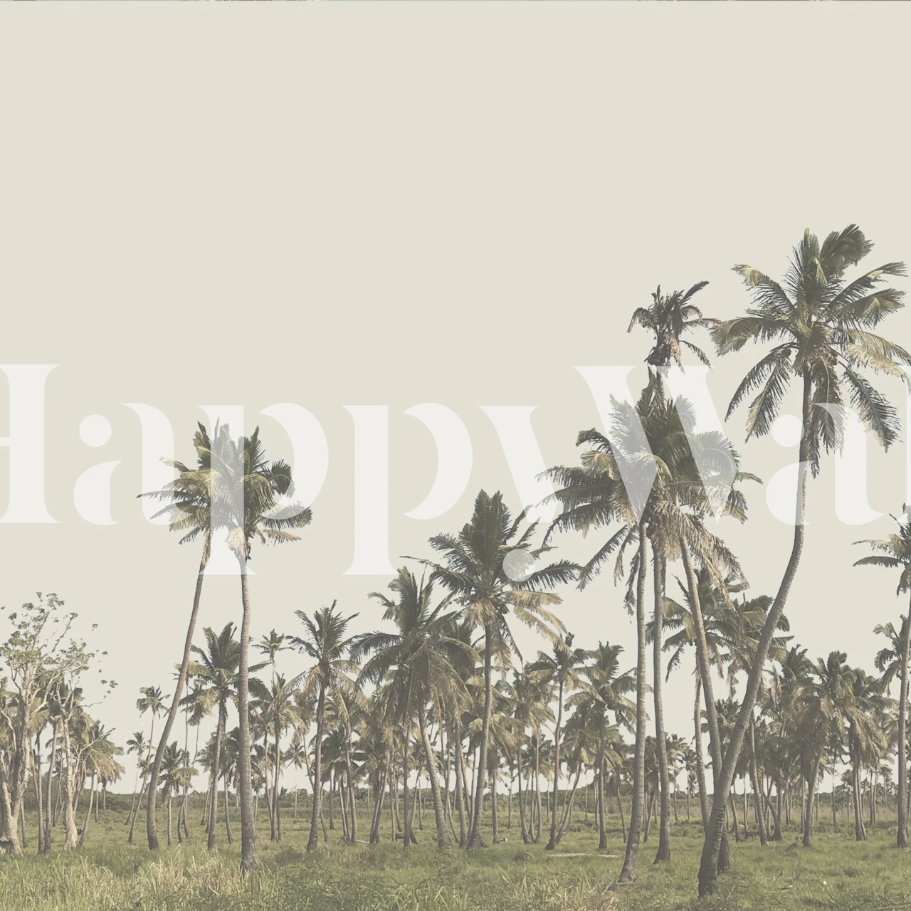 Tapeta Palmtrees Tonga w pomieszczeniu