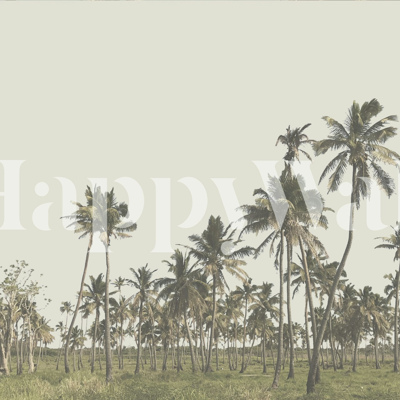 Palmtrees Tonga wallpaper in a room