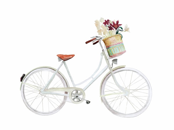Vintage Bicycle Blooms