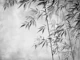 Calm Grey Bamboo Garden Zen Relax