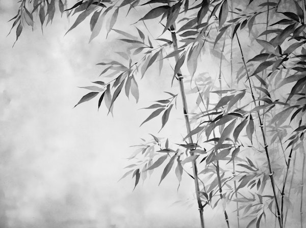 Calm Grey Bamboo Garden Zen Relax