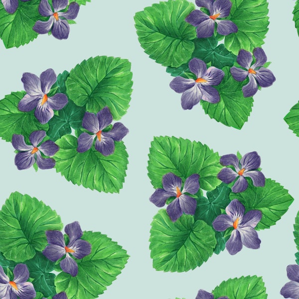 Violets on sea glass blue
