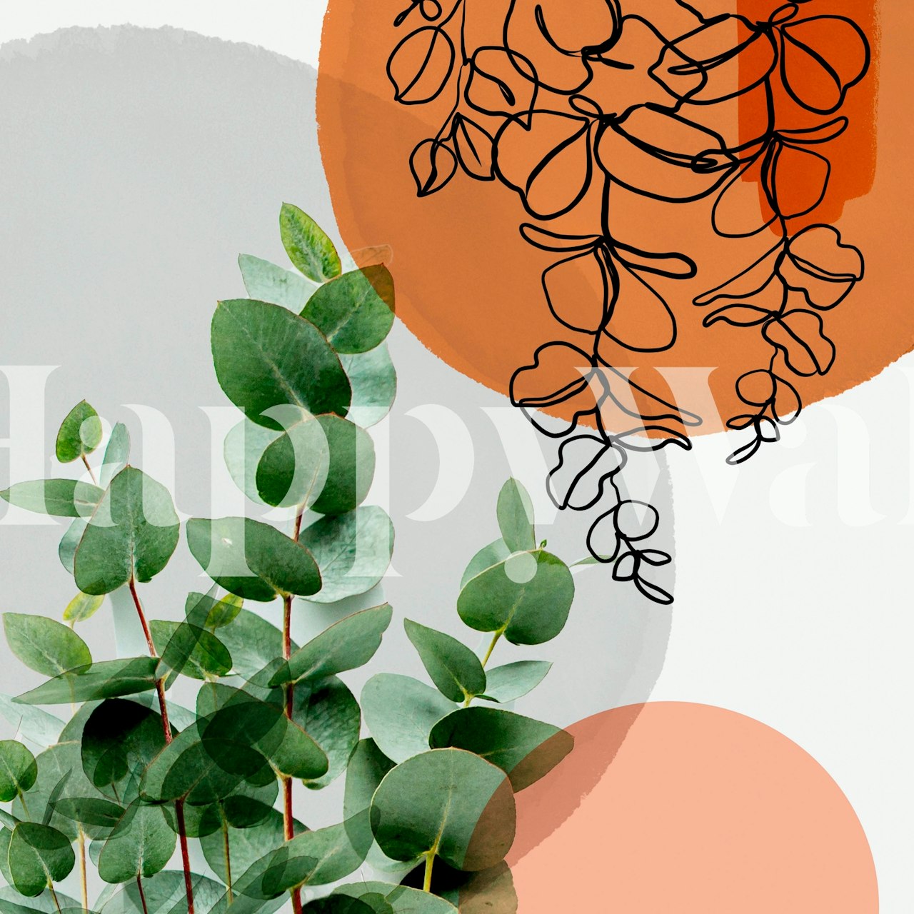 Eucalyptus leaves on smooth grey background with orange circles and black line art wallpaper