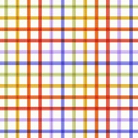 Gingham Colorful Mural tapetit