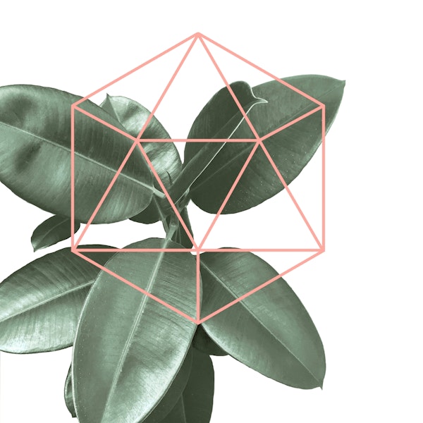 Geometric greenery