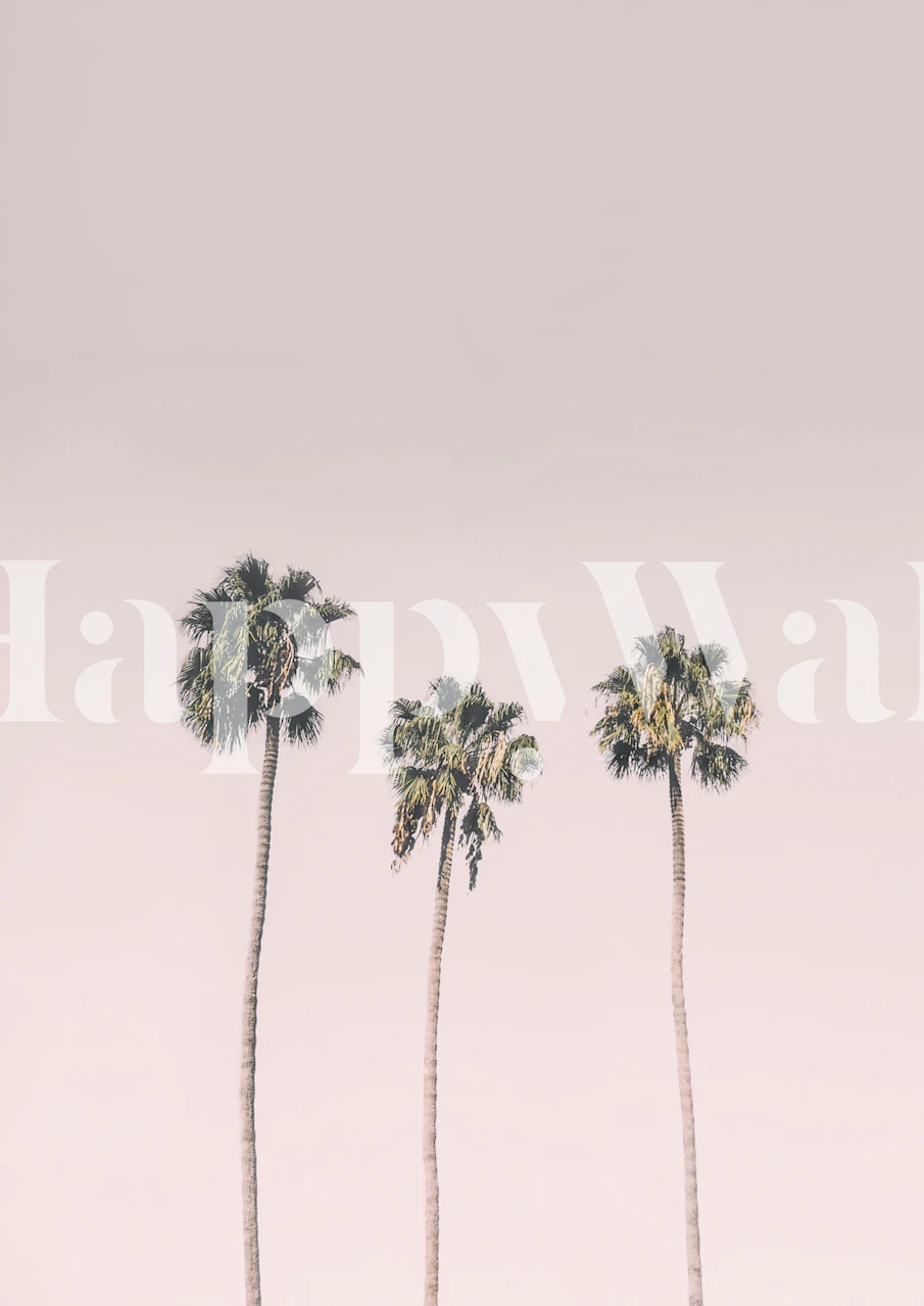 Pink Sky Palm Scene wallpaper in a room