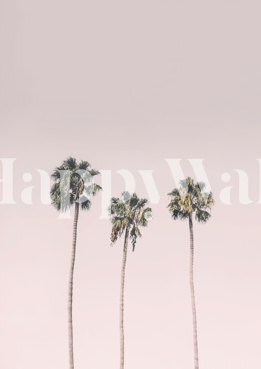 Tapeta Pink Sky Palm Scene w pokoju