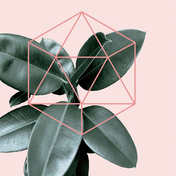Geometric greenery - pink