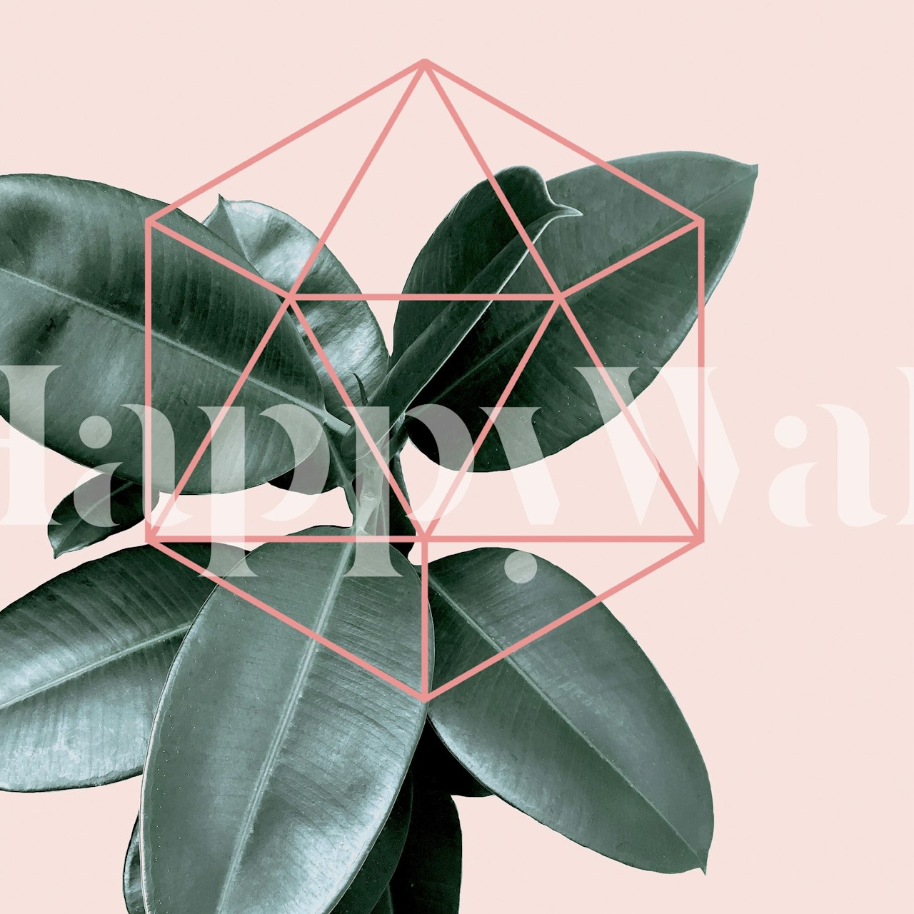 Geometric green lines over pink background with green leaves