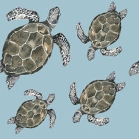 Sea Turtle Pattern papel pintado
