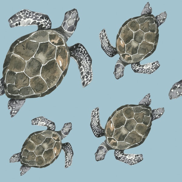 Sea Turtle Pattern