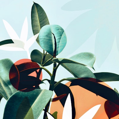 Mural