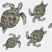 Swimming Turtles Pattern papel pintado