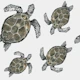 Swimming Turtles Pattern
