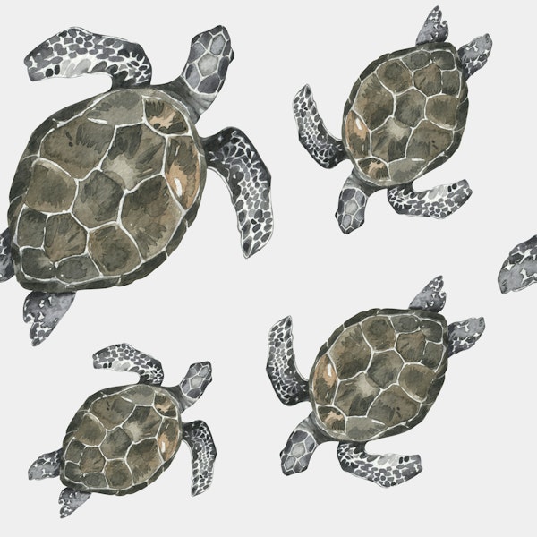 Swimming Turtles Pattern