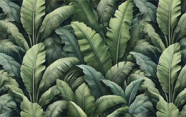 Banana Leaves Essence