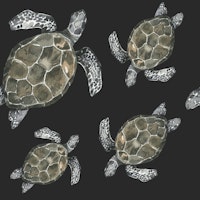 Ocean Turtle Pattern tapete