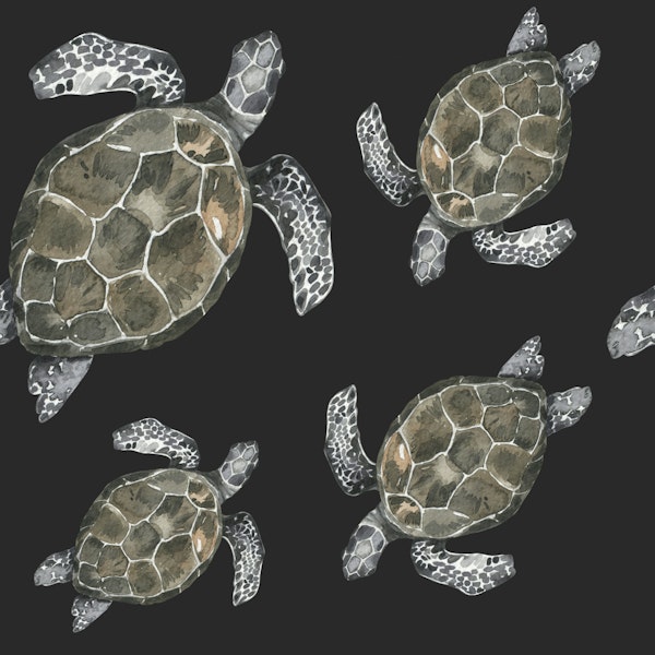 Ocean Turtle Pattern
