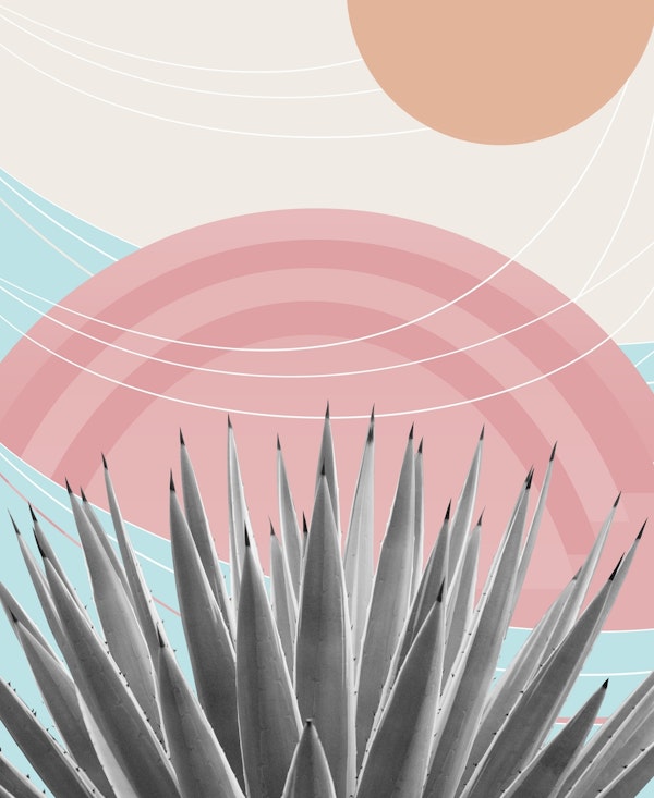 Agave in the Desert Oasis 4