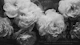 Neutral Grey Floral Memories