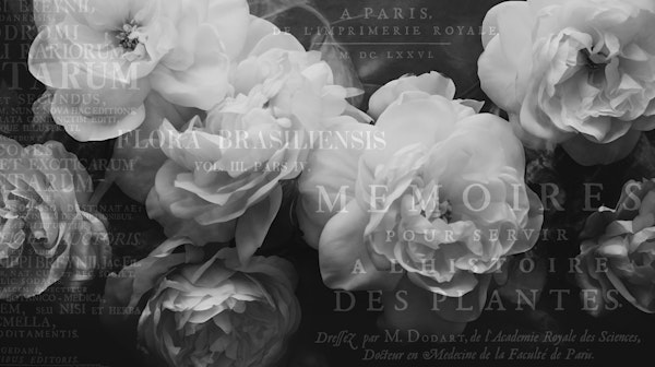 Neutral Grey Floral Memories
