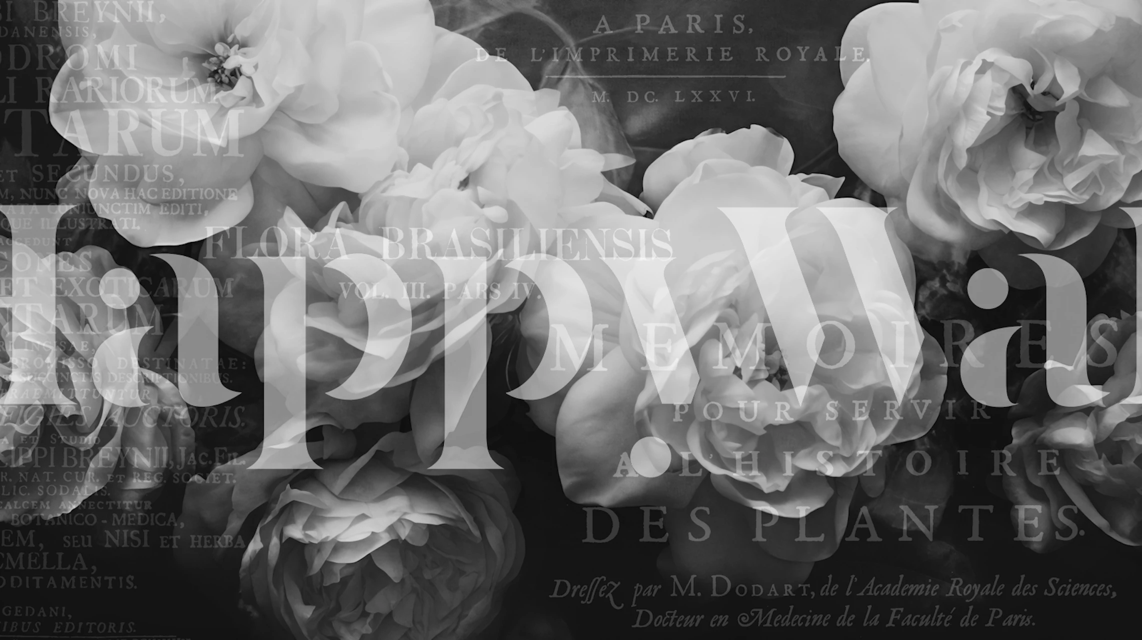 Black and white floral wallpaper with grey tones and vintage text