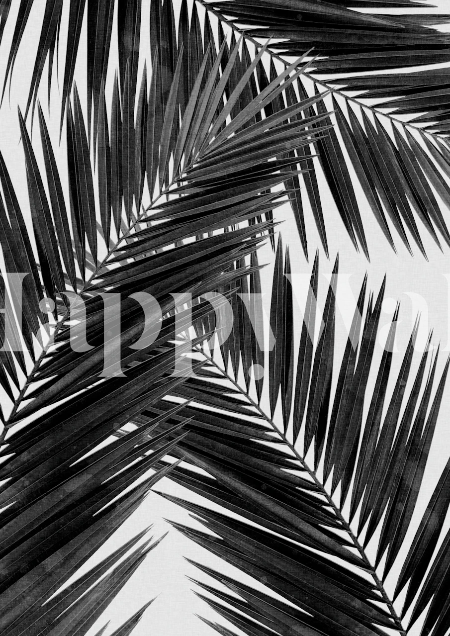 Black and white palm leaf pattern wallpaper