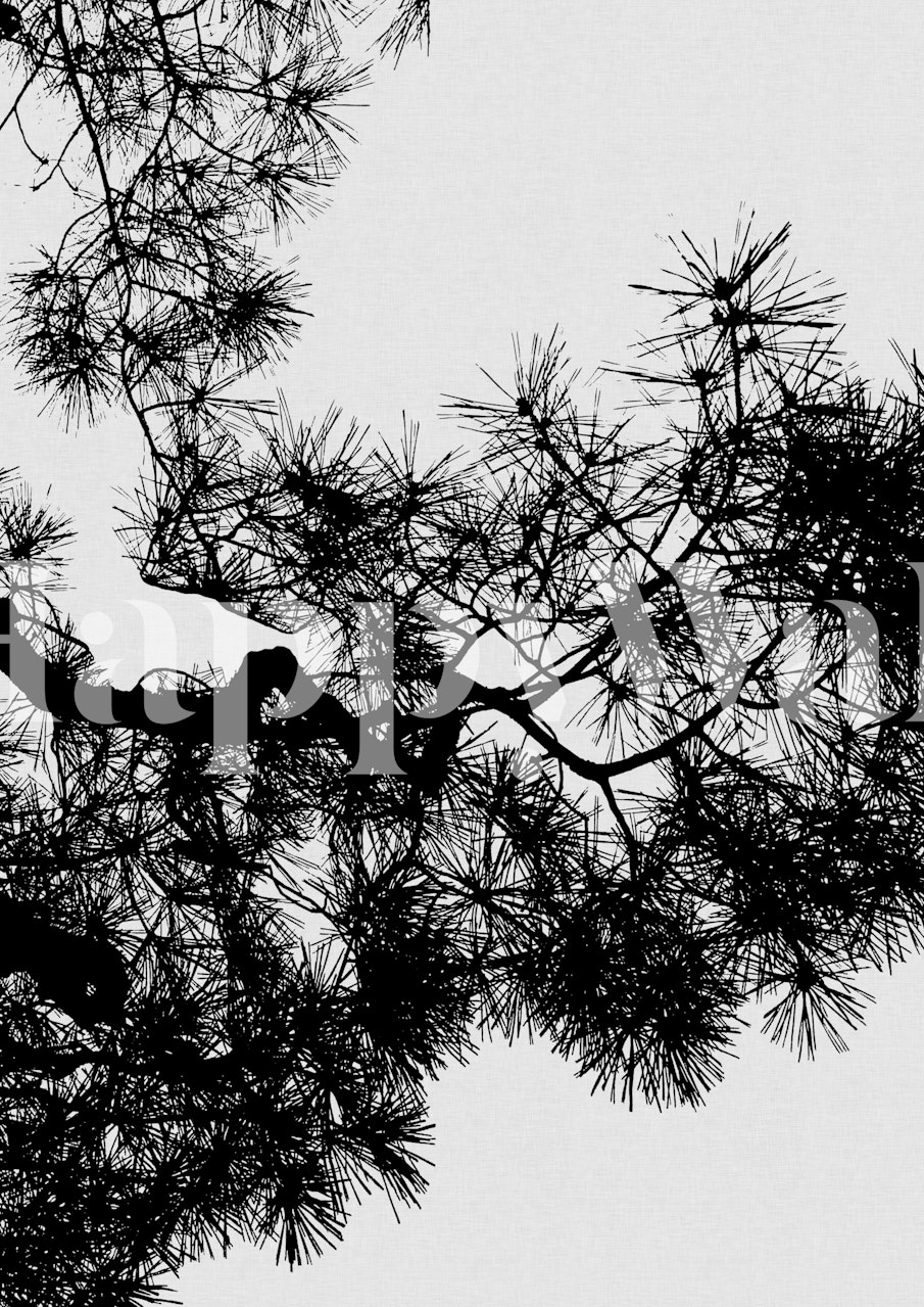 Pine tree black and white wallpaper displayed in a room
