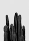 Cactus Black & White